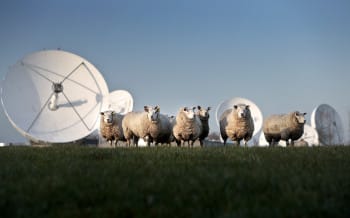 greate earen Burum onderscheppen satelleitcommunicatie