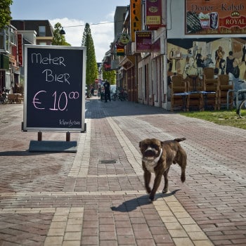 Den Helder Straatbeeld